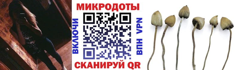купить  цена  Пионерский  Галлюциногенные грибы Psilocybe 
